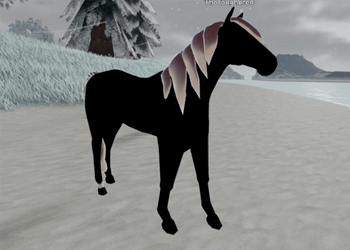 IUH Black Orange Pearl Tb Thoroughbred